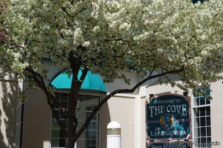 The Cove Of Geneva 3* Lake Geneva