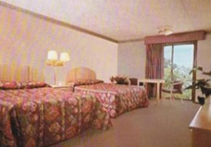 Hotel Chateau Royale