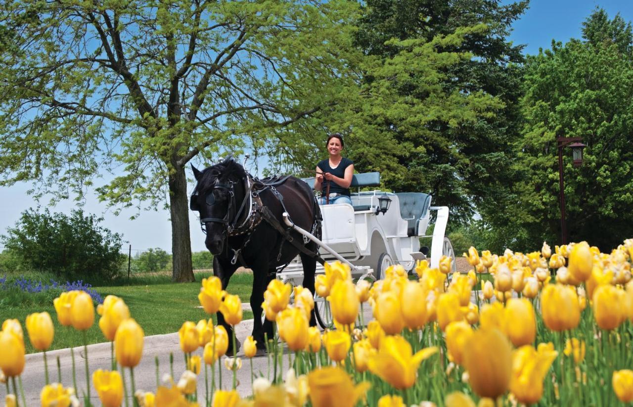Resort Club Vacations At Geneva